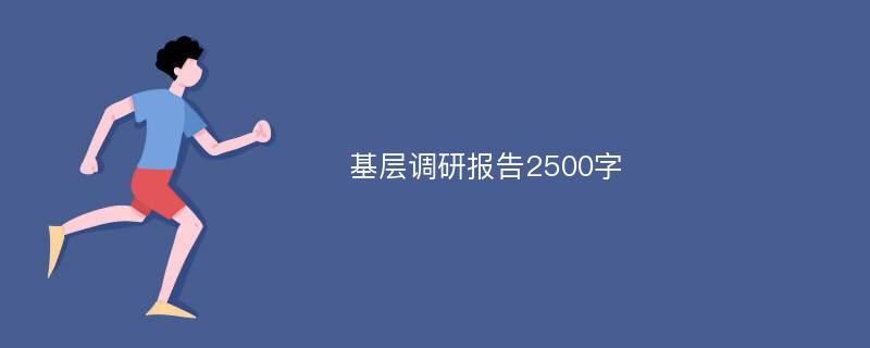 基层调研报告2500字