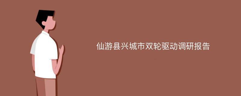 仙游县兴城市双轮驱动调研报告