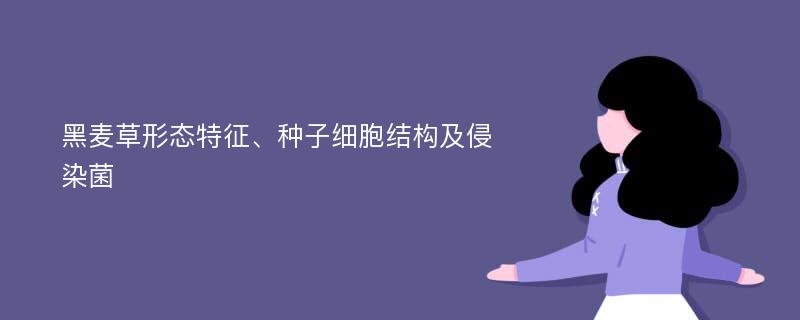 黑麦草形态特征、种子细胞结构及侵染菌