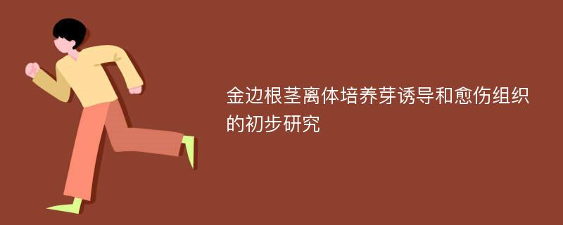 金边根茎离体培养芽诱导和愈伤组织的初步研究